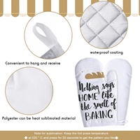 Oven Mitt